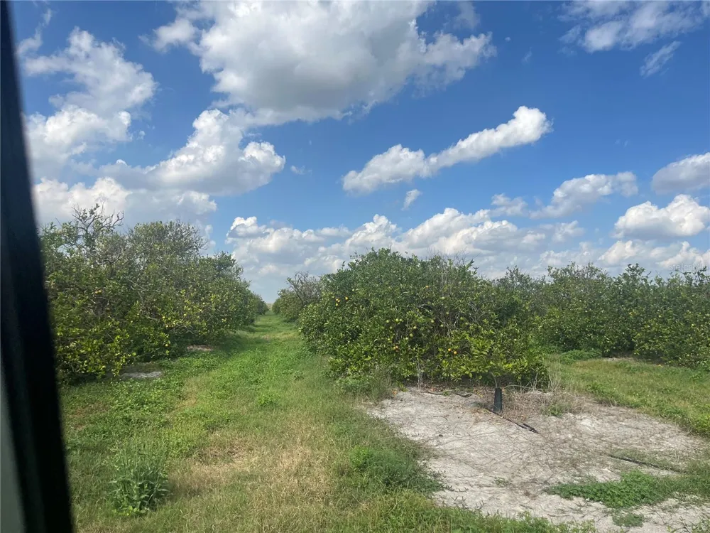 NE HWY 70 Arcadia, FL 34266
