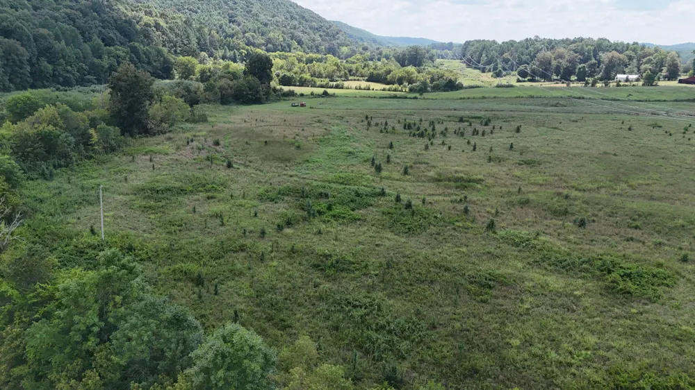 County Road 60 Riceville, TN 37370