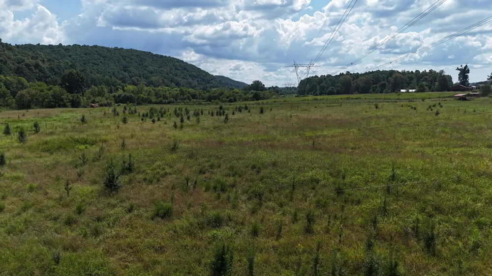 County Road 60 Riceville, TN 37370
