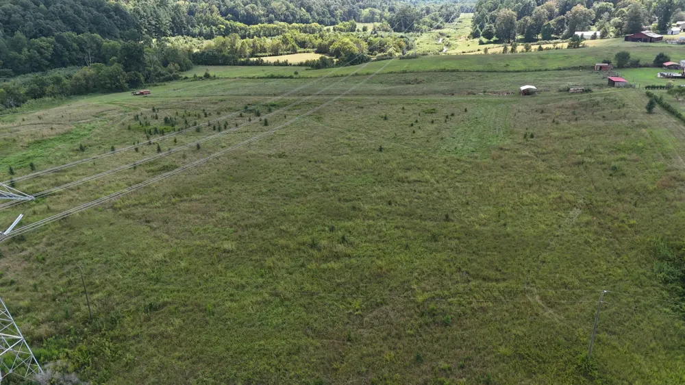 County Road 60 Riceville, TN 37370
