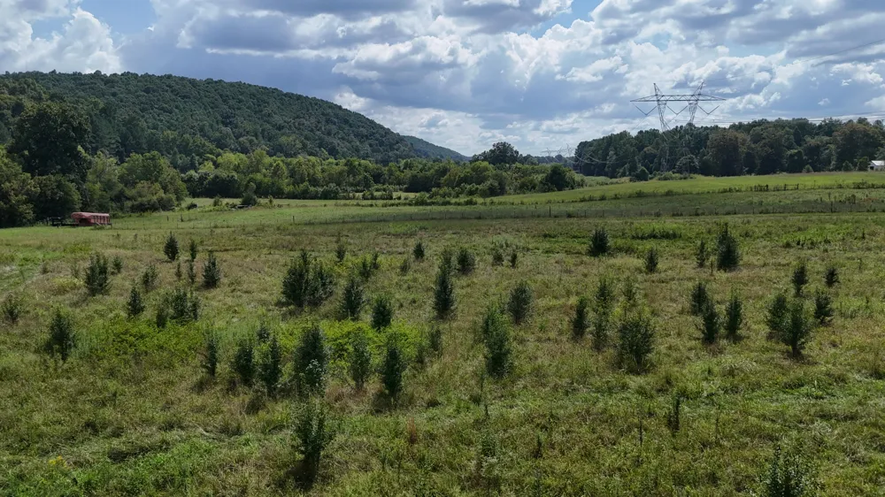 County Road 60 Riceville, TN 37370