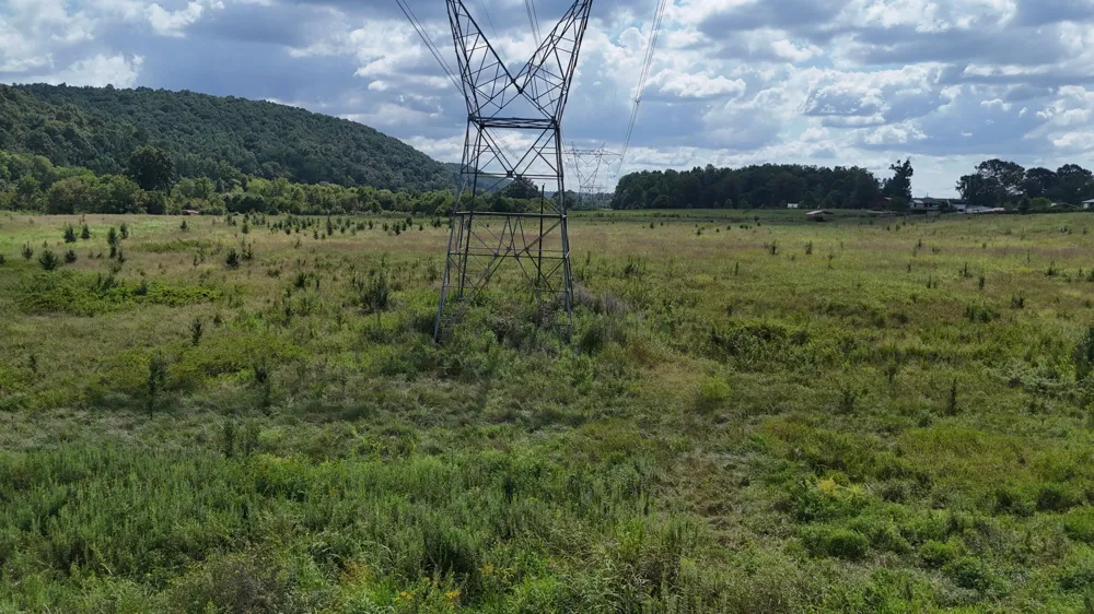 County Road 60 Riceville, TN 37370