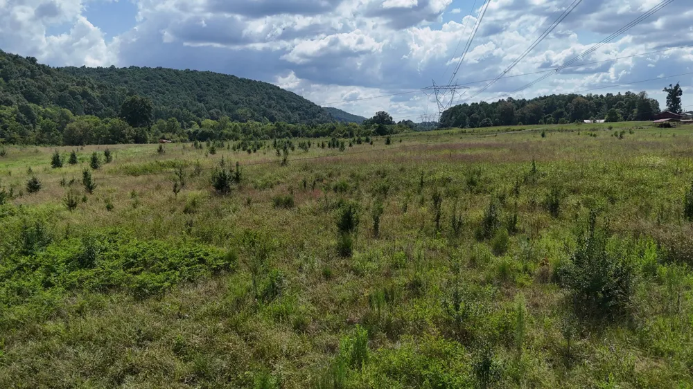 County Road 60 Riceville, TN 37370