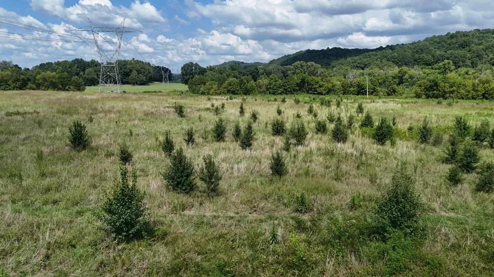 County Road 60 Riceville, TN 37370