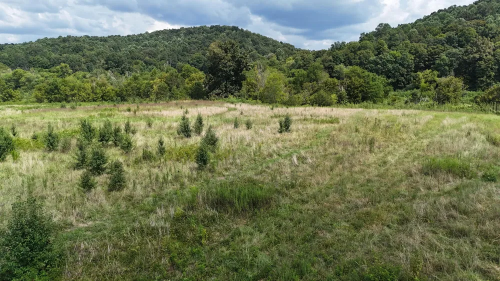 County Road 60 Riceville, TN 37370