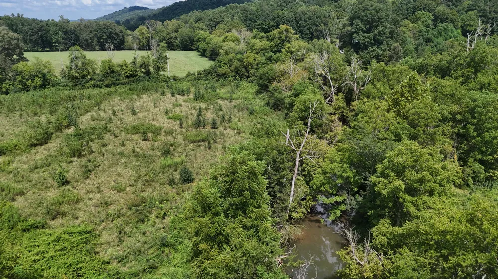 County Road 60 Riceville, TN 37370