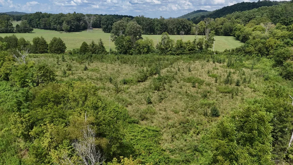 County Road 60 Riceville, TN 37370