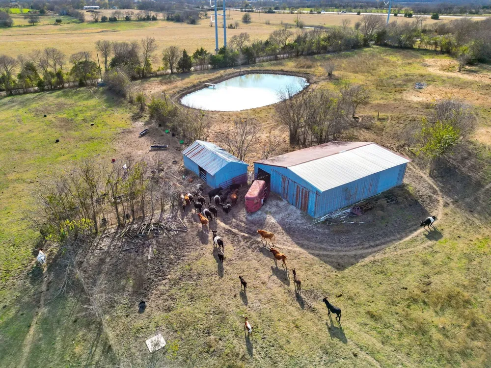 12099 County Road 1028 Blue Ridge, TX 75424