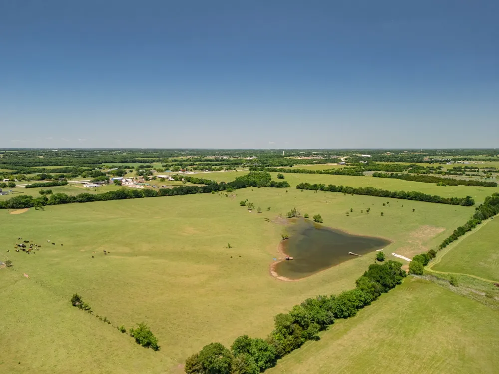 12099 County Road 1028 Blue Ridge, TX 75424