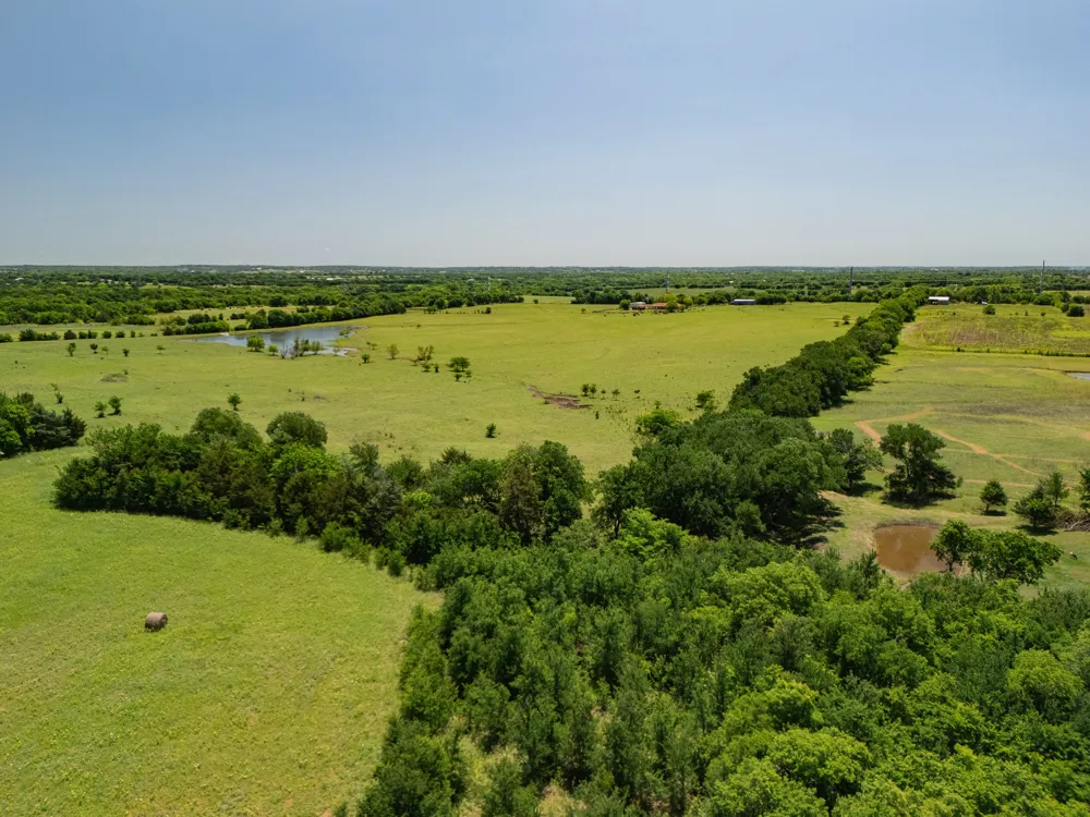 12099 County Road 1028 Blue Ridge, TX 75424