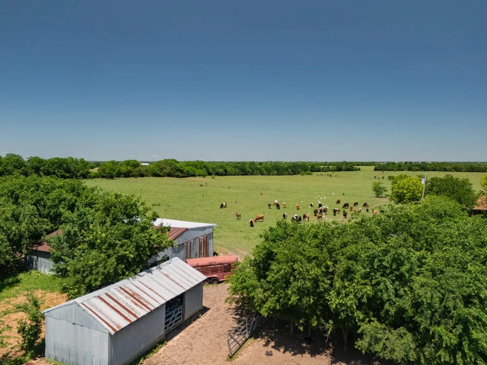 12099 County Road 1028 Blue Ridge, TX 75424