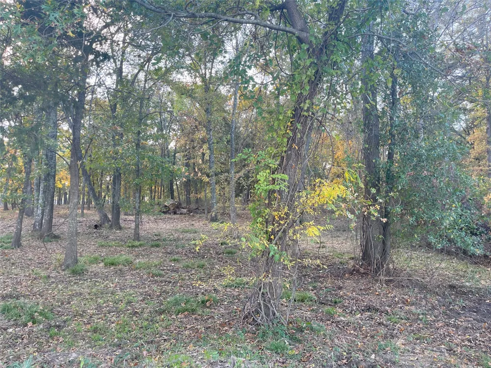 Open Water Point Quinlan, TX 75474