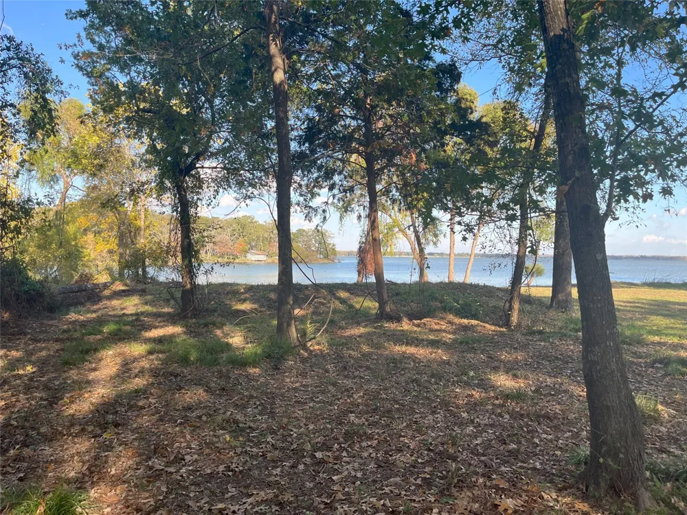 Open Water Point Quinlan, TX 75474