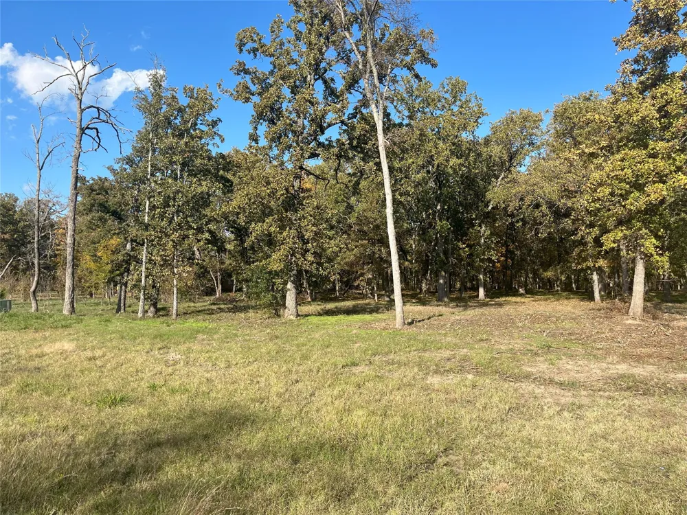Open Water Point Quinlan, TX 75474