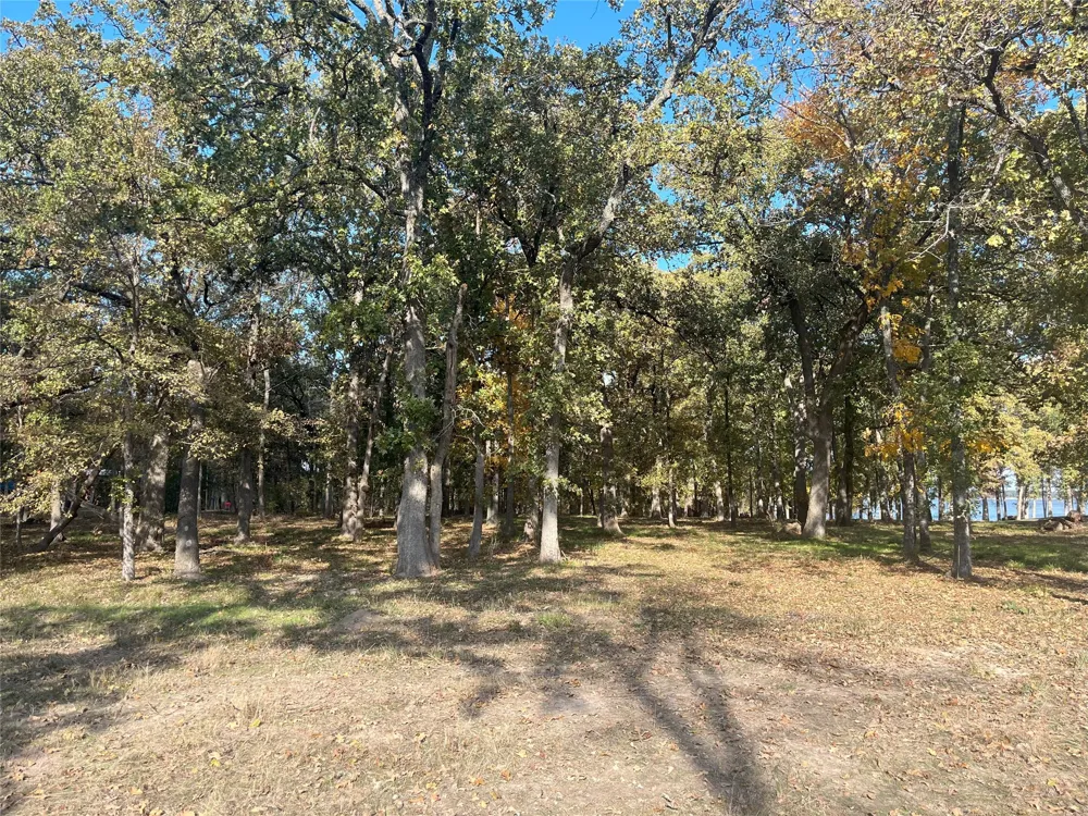 Open Water Point Quinlan, TX 75474
