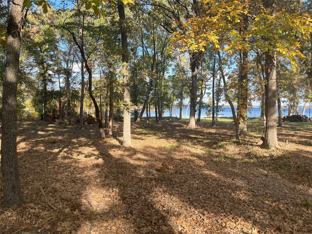Open Water Point Quinlan, TX 75474
