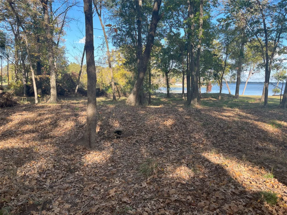 Open Water Point Quinlan, TX 75474