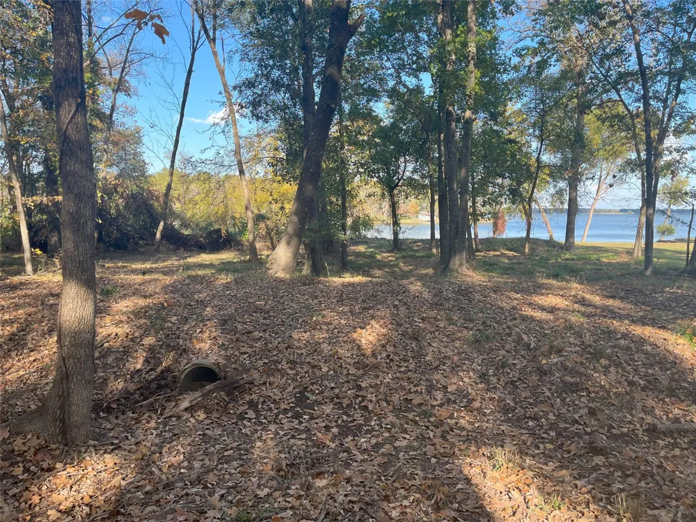 Open Water Point Quinlan, TX 75474