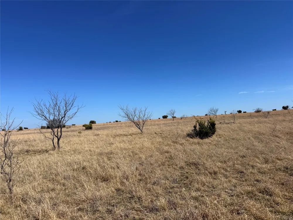 CR 619 Hamilton, TX 76531