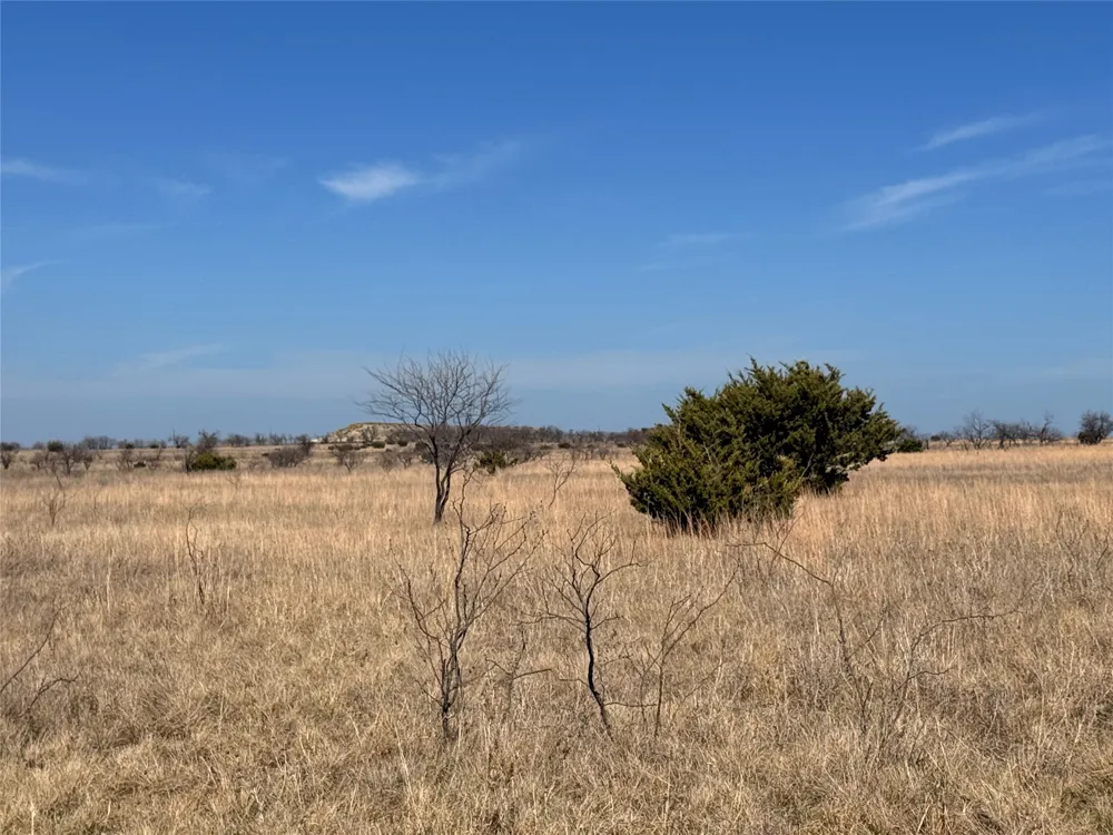 CR 619 Hamilton, TX 76531