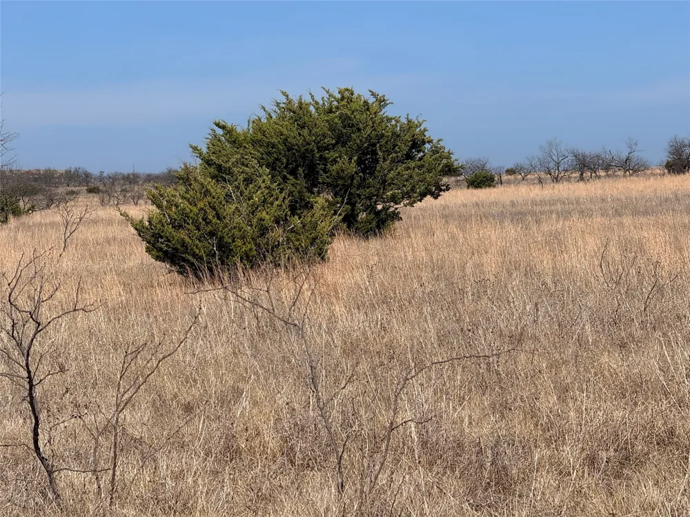 CR 619 Hamilton, TX 76531