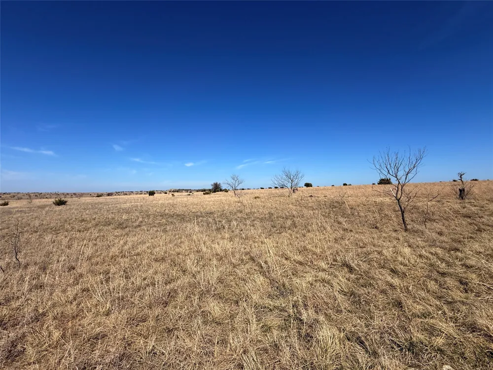 CR 619 Hamilton, TX 76531
