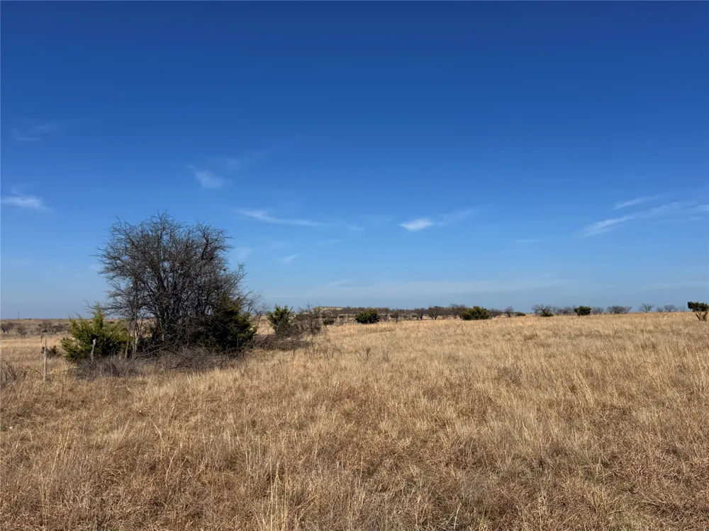 CR 619 Hamilton, TX 76531