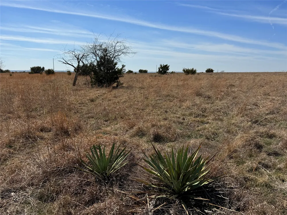 CR 619 Hamilton, TX 76531
