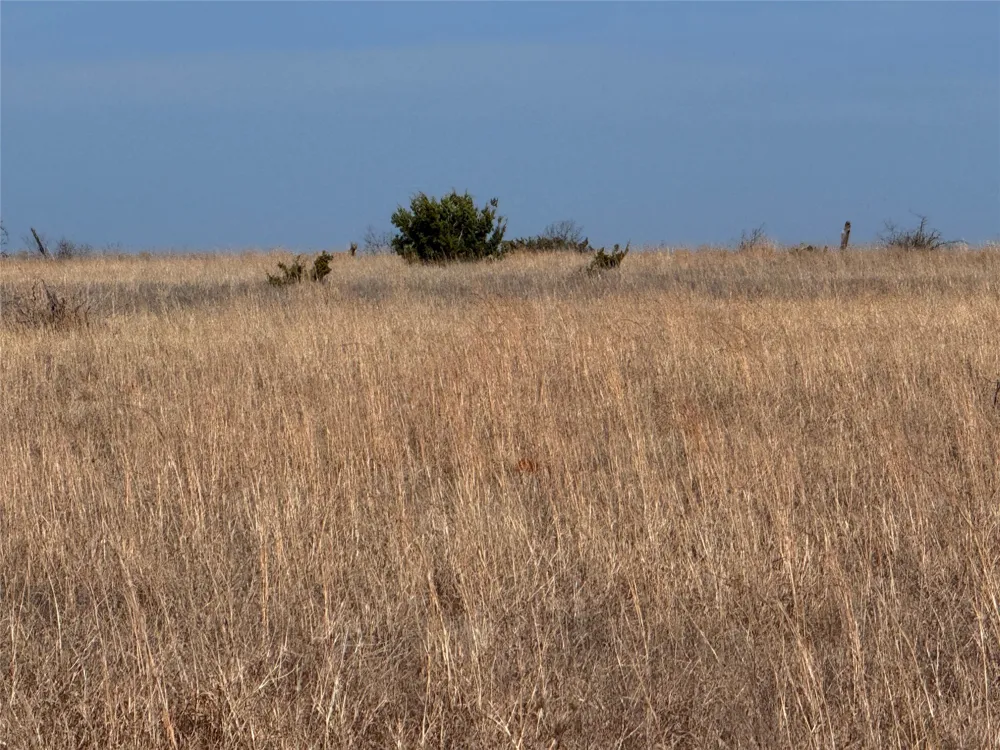 CR 619 Hamilton, TX 76531
