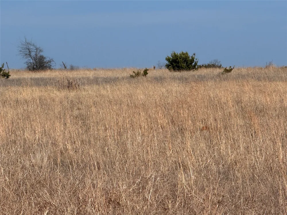 CR 619 Hamilton, TX 76531