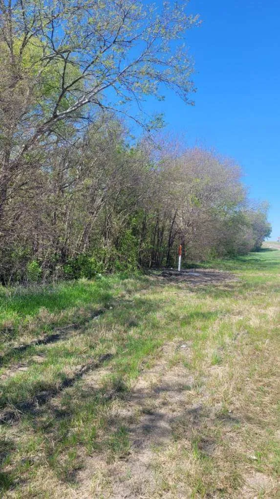 I-45 Palmer, TX 75152