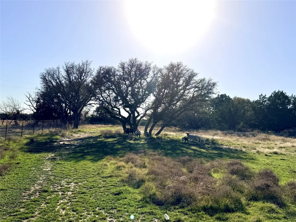 65 County Road 406 Goldthwaite, TX 76844
