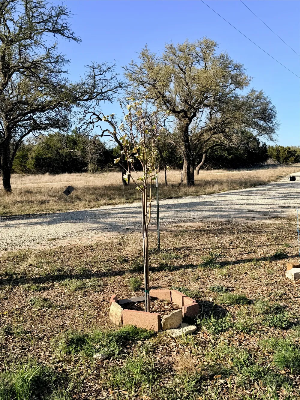 65 County Road 406 Goldthwaite, TX 76844