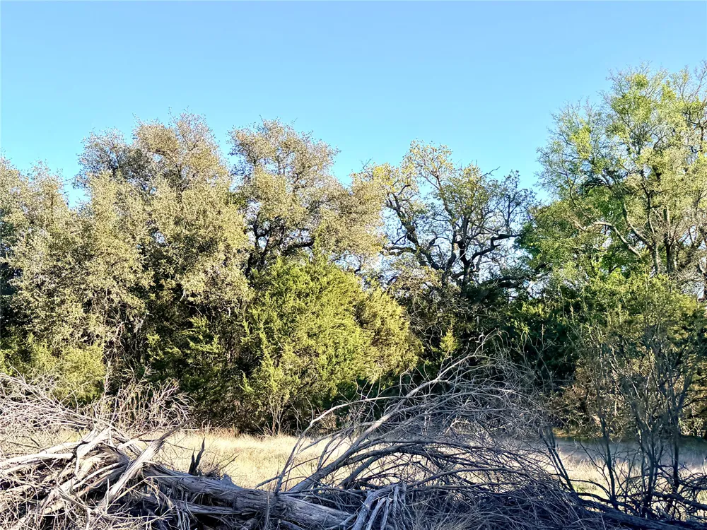 65 County Road 406 Goldthwaite, TX 76844