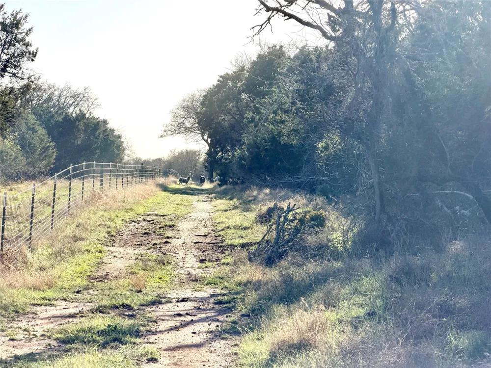 65 County Road 406 Goldthwaite, TX 76844