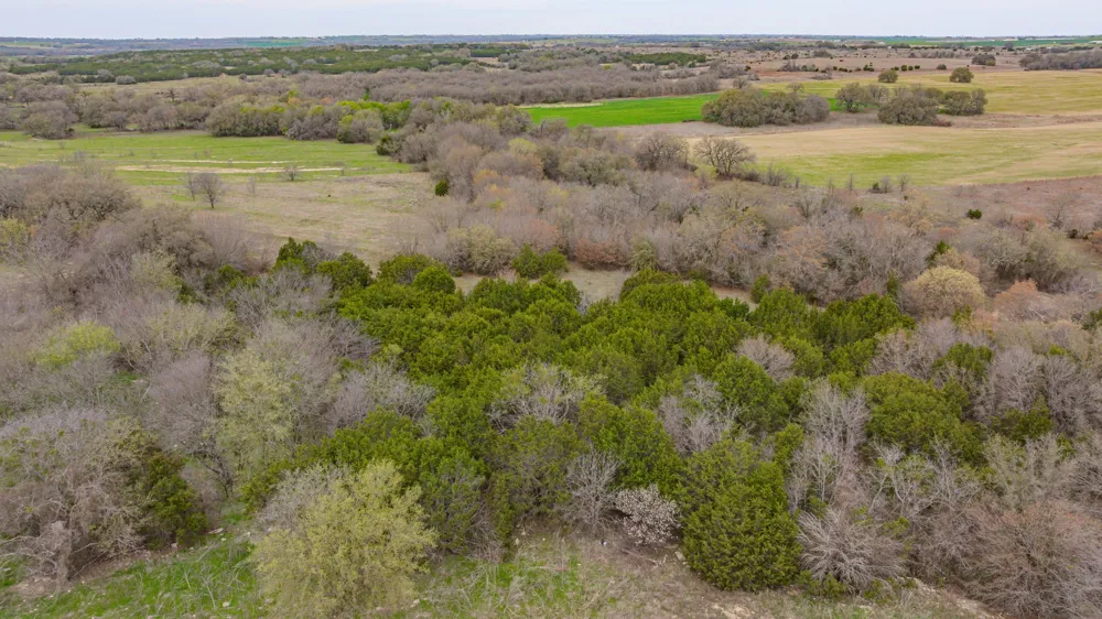 County Road 317 Dublin, TX 76446