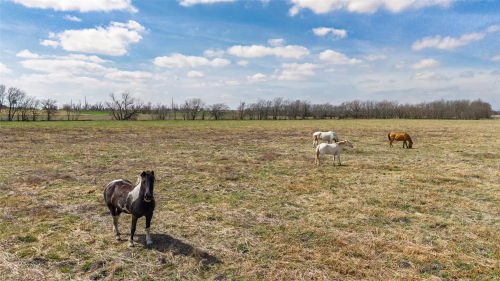 Sabine Creek Road Royse City, TX 75189
