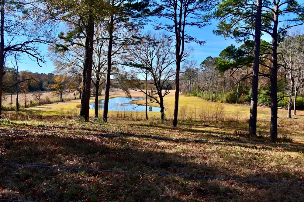 5730 E FM 323 Palestine, TX 75801