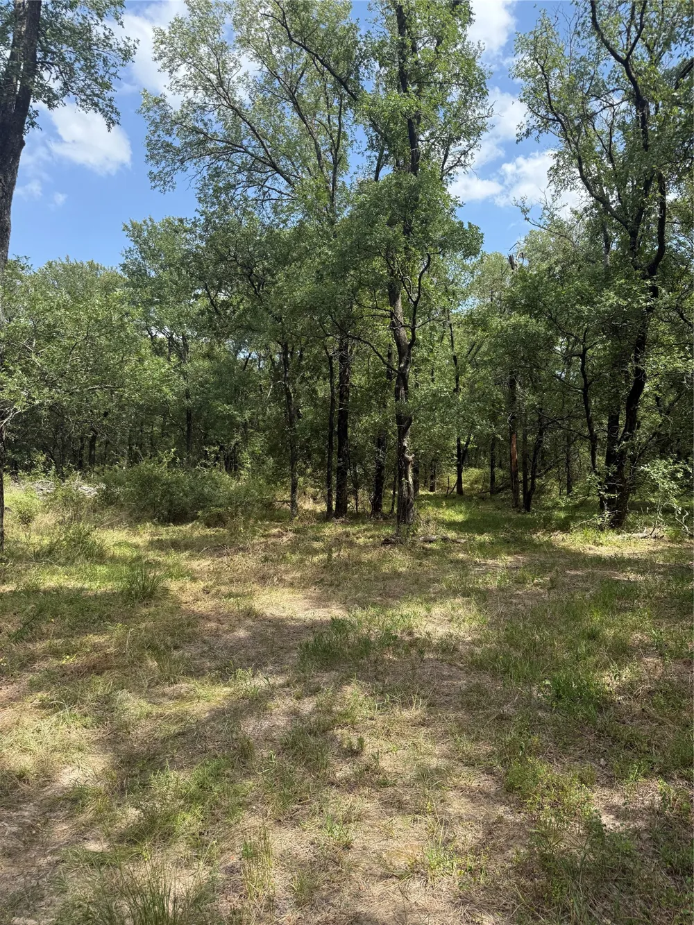 1741 Elm Lake Road Riesel, TX 76682
