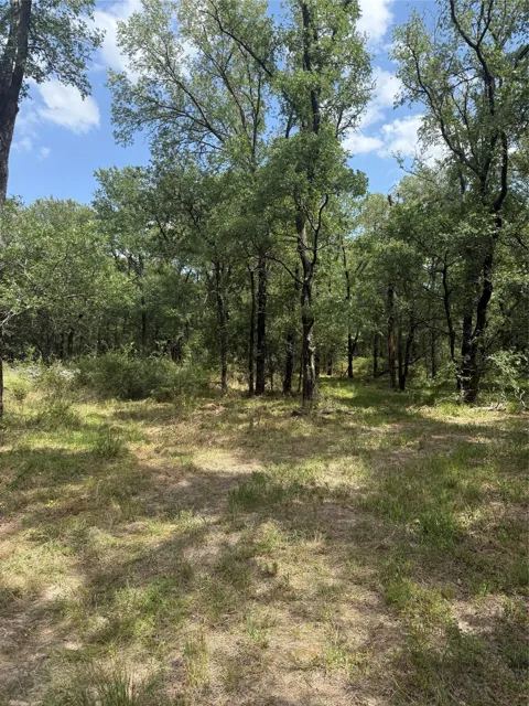 1741 Elm Lake Road