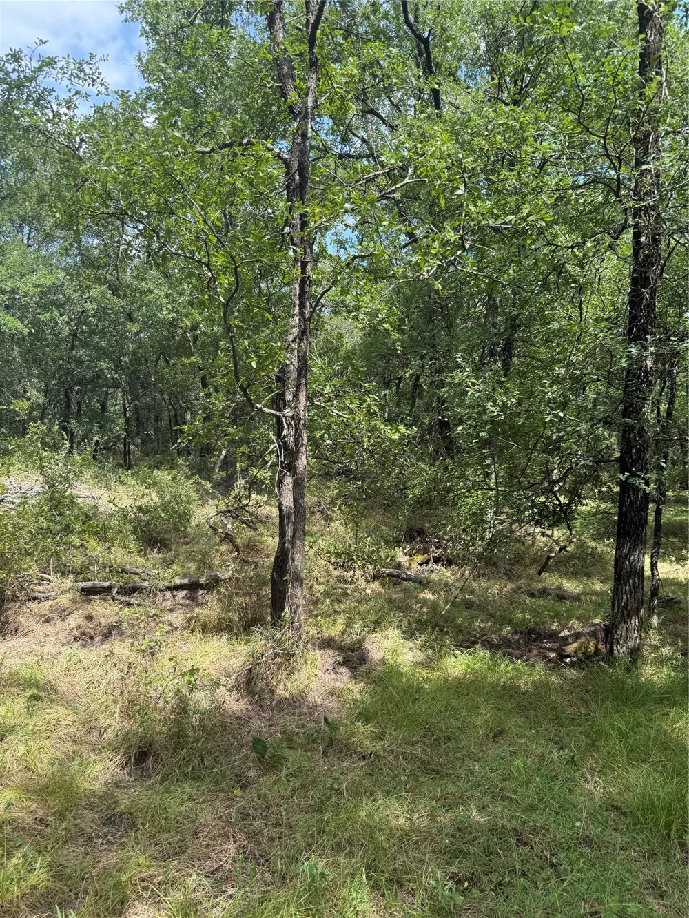 1741 Elm Lake Road Riesel, TX 76682