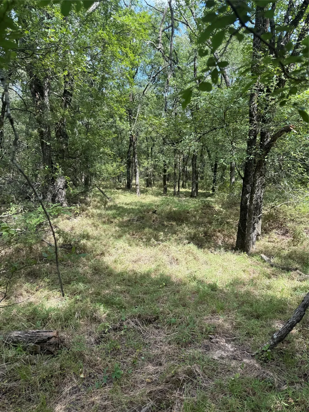 1741 Elm Lake Road Riesel, TX 76682