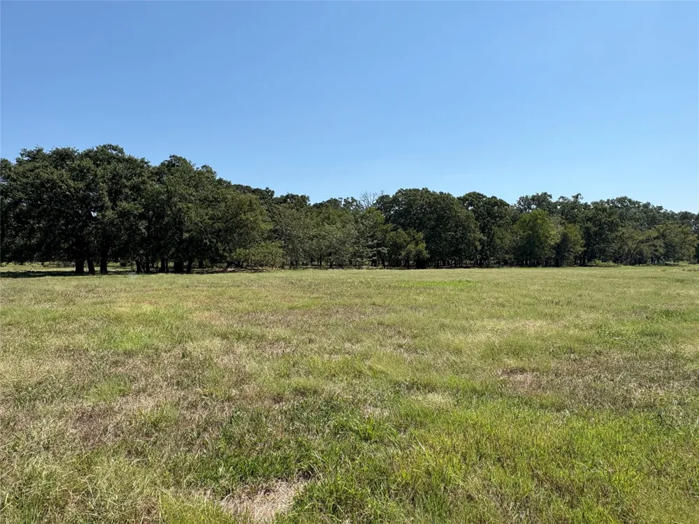 County Road 1168 #3 Brashear, TX 75420