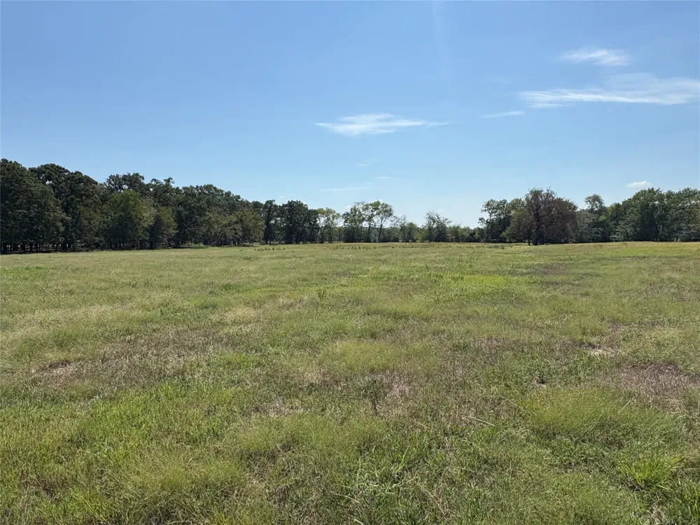 County Road 1168 #3 Brashear, TX 75420