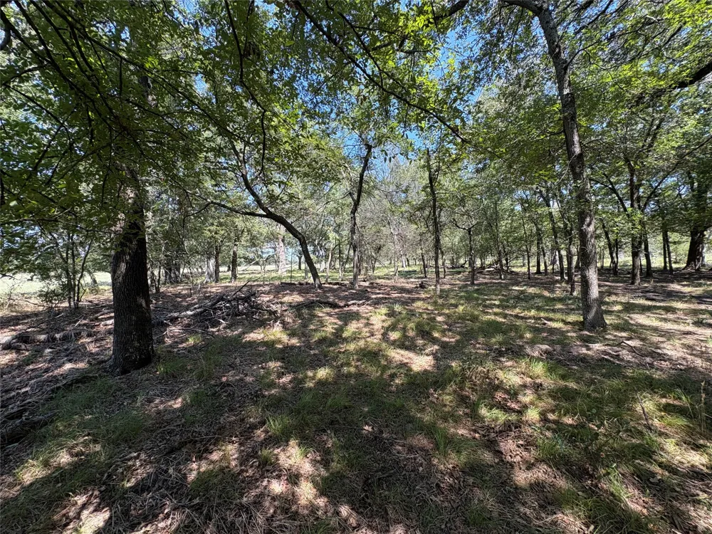 County Road 1168 #3 Brashear, TX 75420
