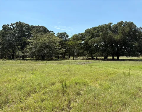 County Road 1168 #3