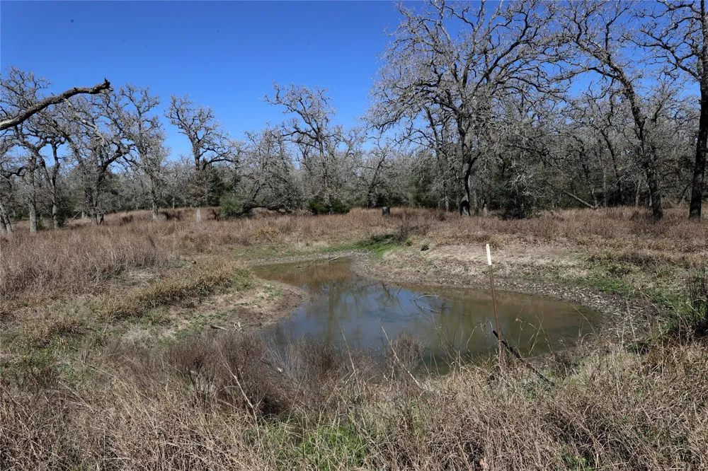 3337 Brunes Mill Road Columbus, TX 78934