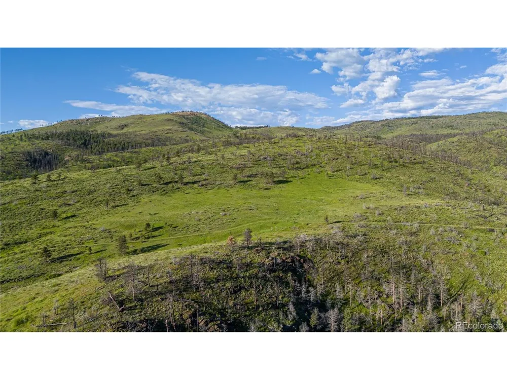 12711 Buckhorn Road Loveland, CO 80538