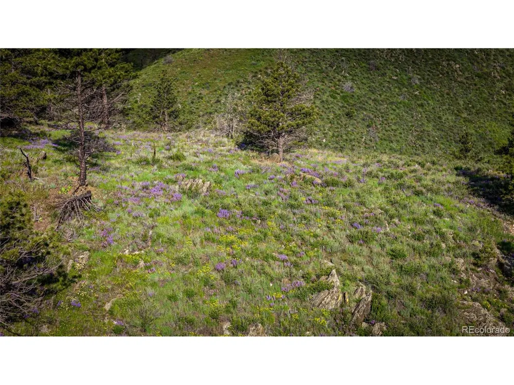 12711 Buckhorn Road Loveland, CO 80538