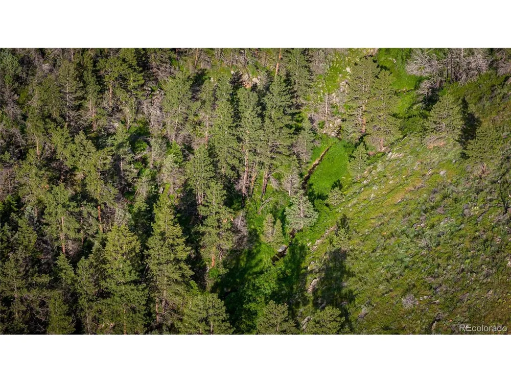 12711 Buckhorn Road Loveland, CO 80538